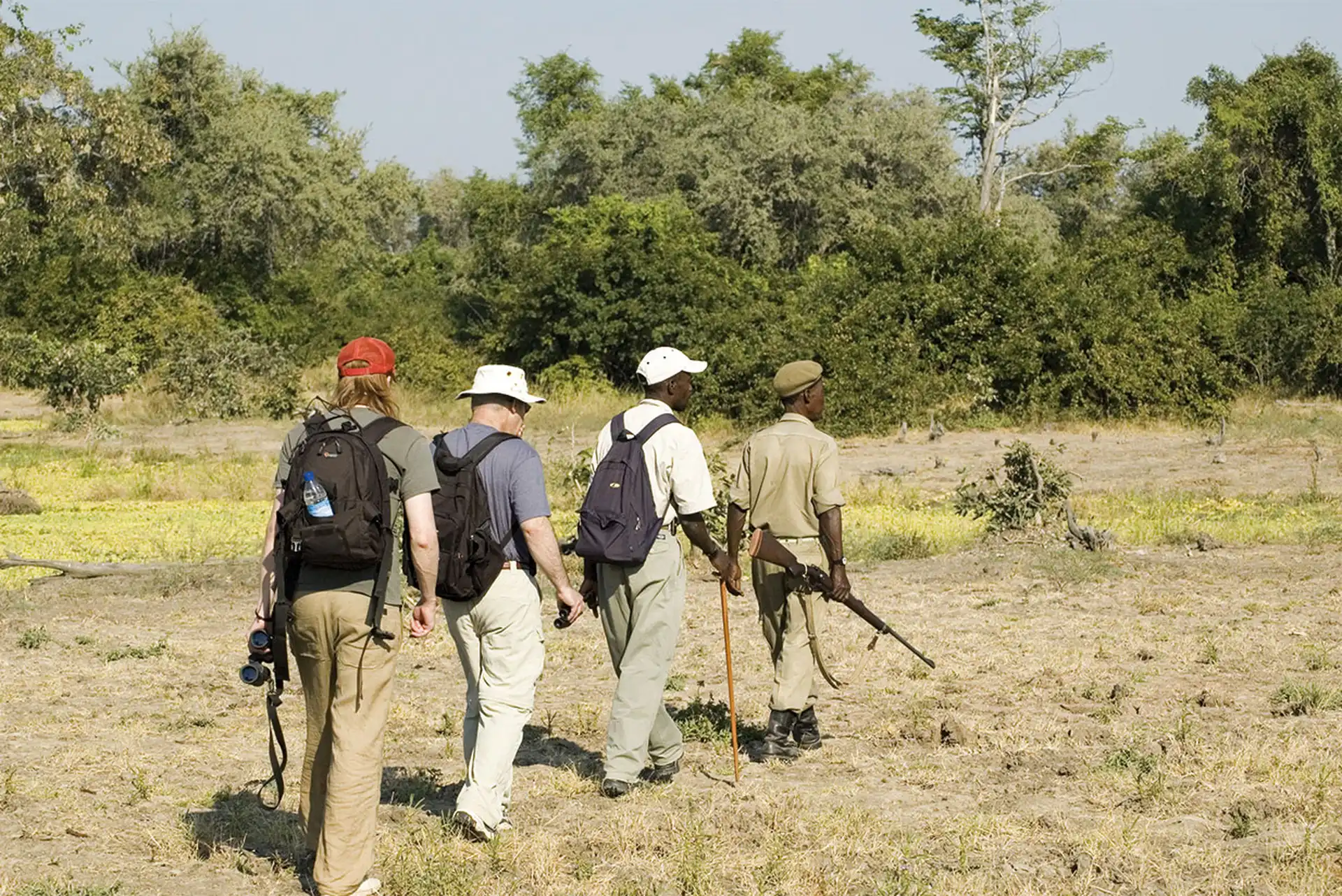 Guided Bush Walk